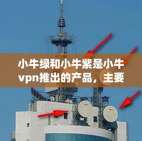 小牛绿和小牛紫是小牛vpn推出的产品,主要面向网红和小红书用户,用于提升曝光率和增加销售。以下是关于小牛绿和小牛紫的详细介绍