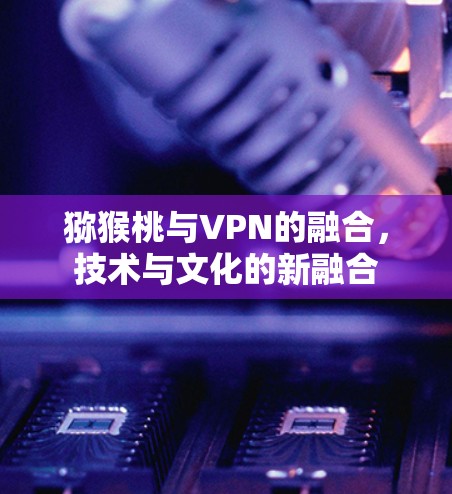 猕猴桃与VPN的融合,技术与文化的新融合