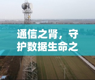 通信之肾,守护数据生命之源