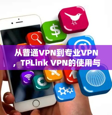从普通VPN到专业VPN,TPLink VPN的使用与优化