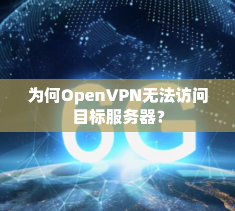 为何OpenVPN无法访问目标服务器?