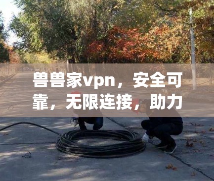 兽兽家vpn,安全可靠,无限连接,助力您的网络生活