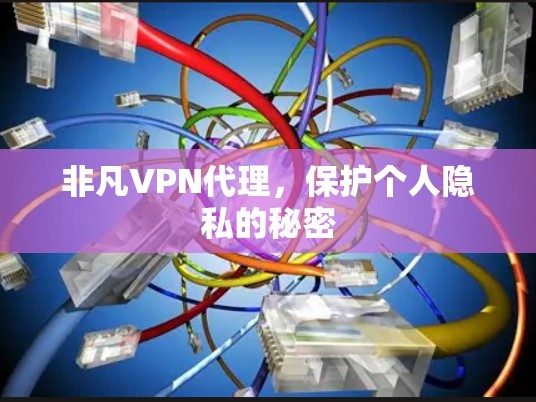 非凡VPN代理,保护个人隐私的秘密