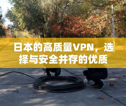 日本的高质量VPN,选择与安全并存的优质服务