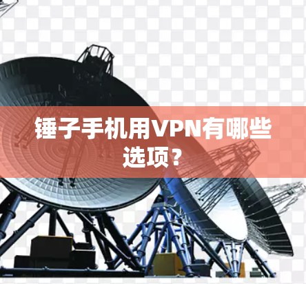 锤子手机用VPN有哪些选项?