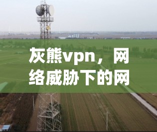 灰熊vpn，网络威胁下的网络设备安全守护者