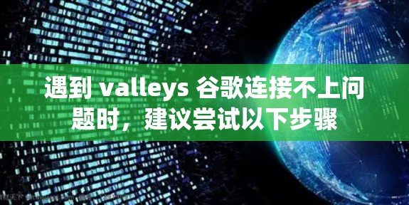 遇到 valleys 谷歌连接不上问题时,建议尝试以下步骤