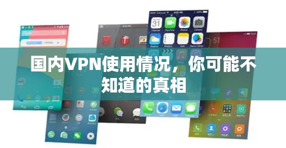 国内VPN使用情况,你可能不知道的真相