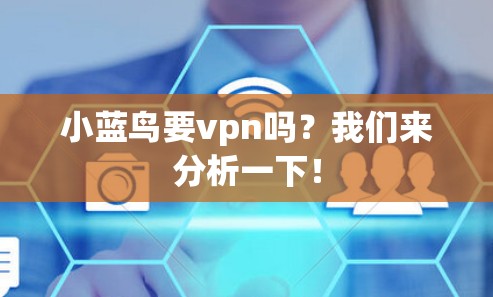 小蓝鸟要vpn吗?我们来分析一下!