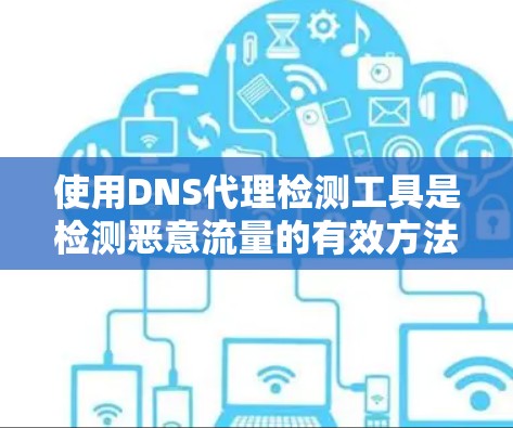 使用DNS代理检测工具是检测恶意流量的有效方法,但需谨慎操作以避免误操作。以下是一步步的指南