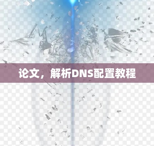 论文,解析DNS配置教程