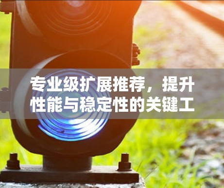 专业级扩展推荐,提升性能与稳定性的关键工具