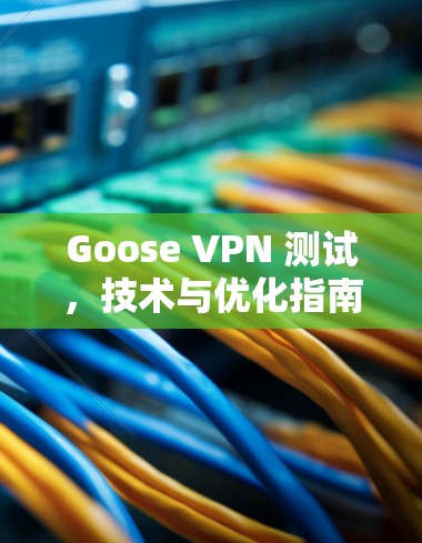 Goose VPN 测试,技术与优化指南