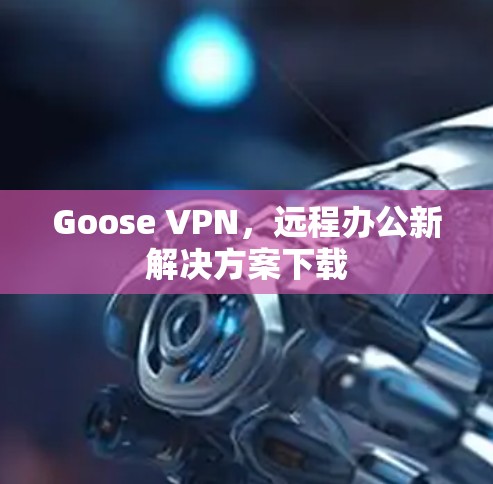 Goose VPN,远程办公新解决方案下载