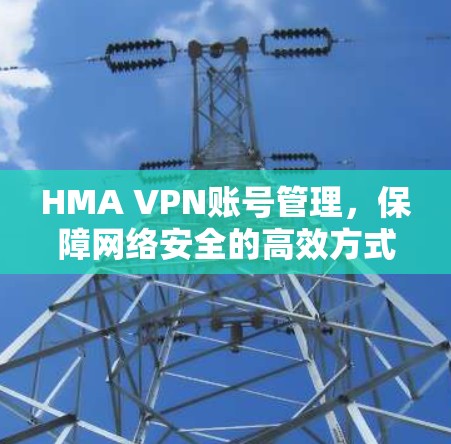 HMA VPN账号管理,保障网络安全的高效方式