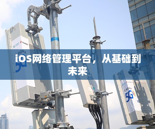 iOS网络管理平台,从基础到未来