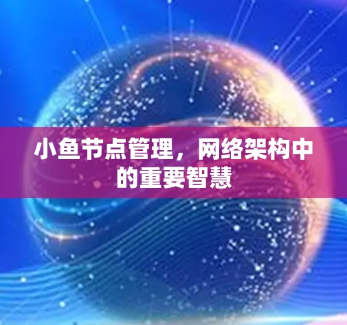 小鱼节点管理，网络架构中的重要智慧