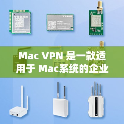 Mac VPN 是一款适用于 Mac系统的企业VPN应用程序，旨在提供安全、快速的网络连接。以下是几种可靠且稳定的 Mac VPN 软件推荐，供您选择