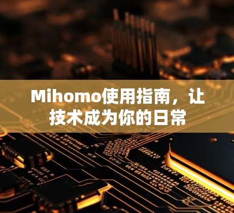Mihomo使用指南，让技术成为你的日常