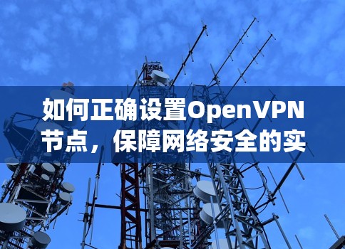 如何正确设置OpenVPN节点，保障网络安全的实用指南
