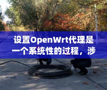 设置OpenWrt代理是一个系统性的过程，涉及多个步骤和配置。以下是一个详细的指南，帮助你顺利设置OpenWrt代理