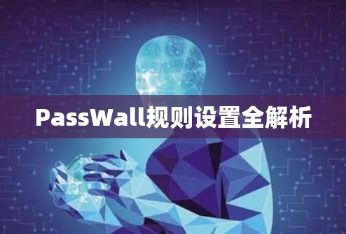 PassWall规则设置全解析
