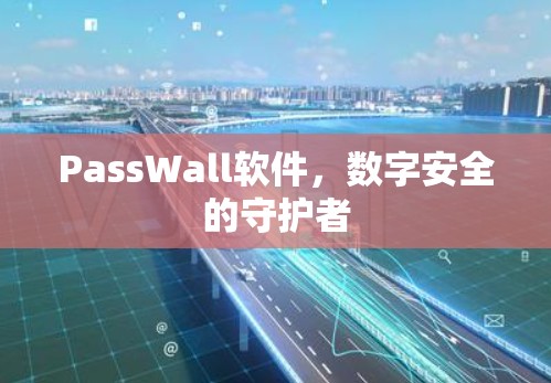 PassWall软件,数字安全的守护者