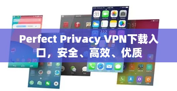 Perfect Privacy VPN下载入口,安全、高效、优质