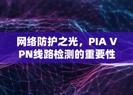 网络防护之光,PIA VPN线路检测的重要性